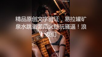 麻豆传媒-女优面试日记-吴心语