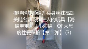 推特绝美颜值九头身丝袜高跟美腿名媛网黄主人的玩具「海绵宝宝」「小海绵」OF大尺度性爱私拍【第二弹】 (3)