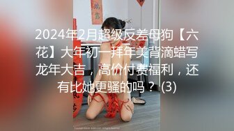 2024年2月超级反差母狗【六花】大年初一拜年美背滴蜡写龙年大吉，高价付费福利，还有比她更骚的吗？ (3)