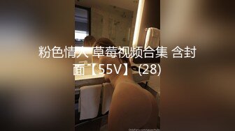 粉色情人 草莓视频合集 含封面【55V】 (28)