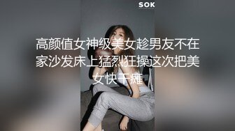 《绝版重磅经典收藏》CP界天花板女厕隔板缝洞中特写偸拍超多小姐姐美少妇方便亮点多尿尿一条水柱貌似是个处女 (4)