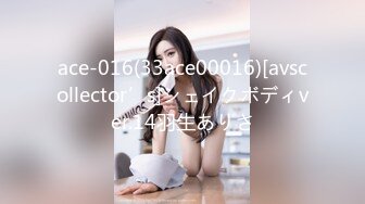 RBD-352 痴漢映画館 2 西野翔【BVPP】