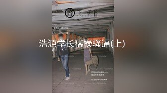 国产麻豆AV MSD MSD071 少爷的乖女仆 袁子仪