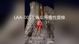 LAA-0051 各取所需性愛條約