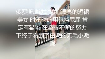 Onlyfans_HongKongDoll玩偶姐姐最新作品4部小合集4K版