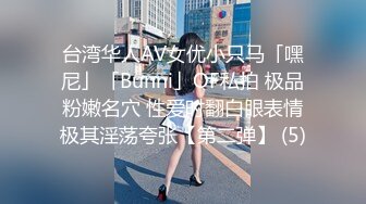 【飞机杯盲测】Gay版无间道,卧底与罪犯爱恨情仇