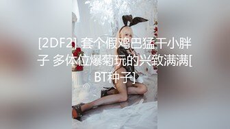 [2DF2] 套个假鸡巴猛干小胖子 多体位爆菊玩的兴致满满[BT种子]