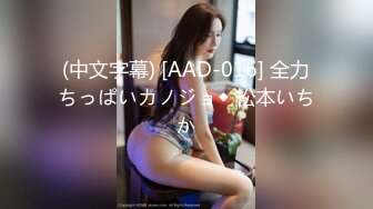 探花沈先生约操高颜值COS女神外围美女