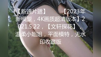 【新速片遞】 ⭐⭐⭐【2023年新模型，4K画质超清版本】2021.5.22，【文轩探花】，温柔小姐姐，平面模特，无水印收藏版