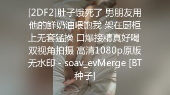 尊享推荐极品佳人无底诱惑套图 苏雅大尺度私拍写真套图 穴穴无下限的拍摄 实在是爽非了