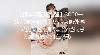 【超清AI画质增强】3000一炮【肥尸探花】极品大奶外围，又挺又翘，加钱居然还同意无套内射，对白精彩！