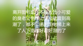 【精品泄密】極品反差母狗深圳龔倩瑩，保險公司客戶經理視圖流出42P 6V 外表清純原來內心風騷無比～原版高清 (2)