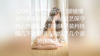 XSJ066.KTV里的双飞.性视界传媒