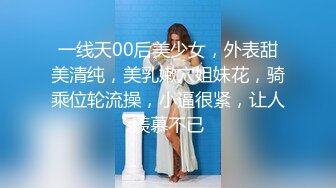 高清无水印珍藏版 高铁女神乘务员和靓丽的女乘客 (9)