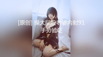 小彩虹的大黑鸟