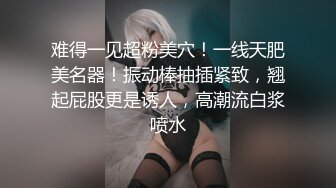 【重磅核弹】极品颜值女神【mympet】VIP福利合集，非推特免费资源，露出换衣啪啪 (1)