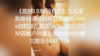 猫爪影像 MSD-166 极品嫩鲍蜜汁喷泉-美乳女友的反差开关