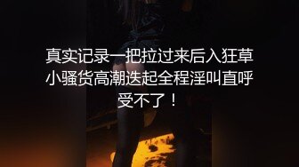 Al&mdash;埃曼纽尔&middot;施莱琪 大奶的诱惑